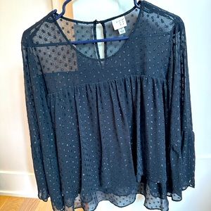 Sheer blouse, great condition
